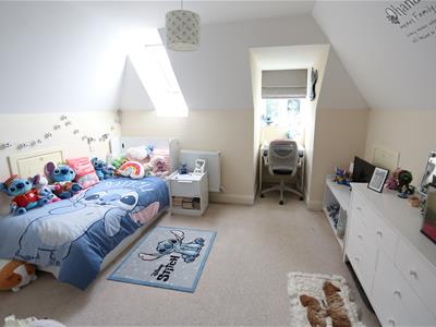 Picture 14